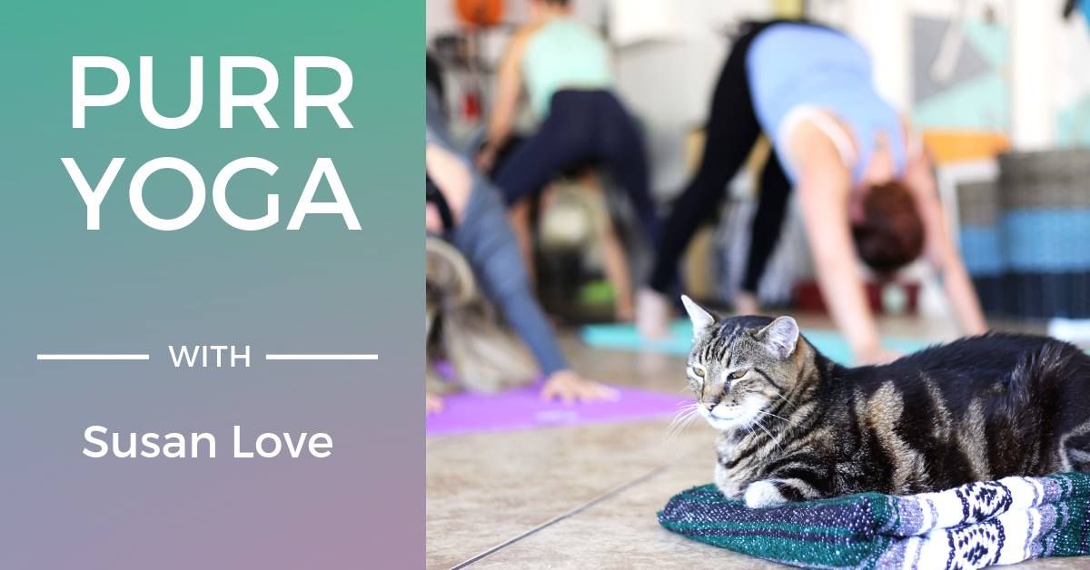 Purr Yoga with Susan Love