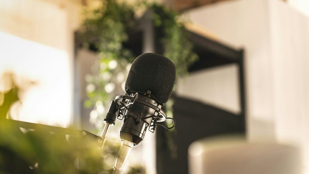 How to Win an Election: LIVE Podcast