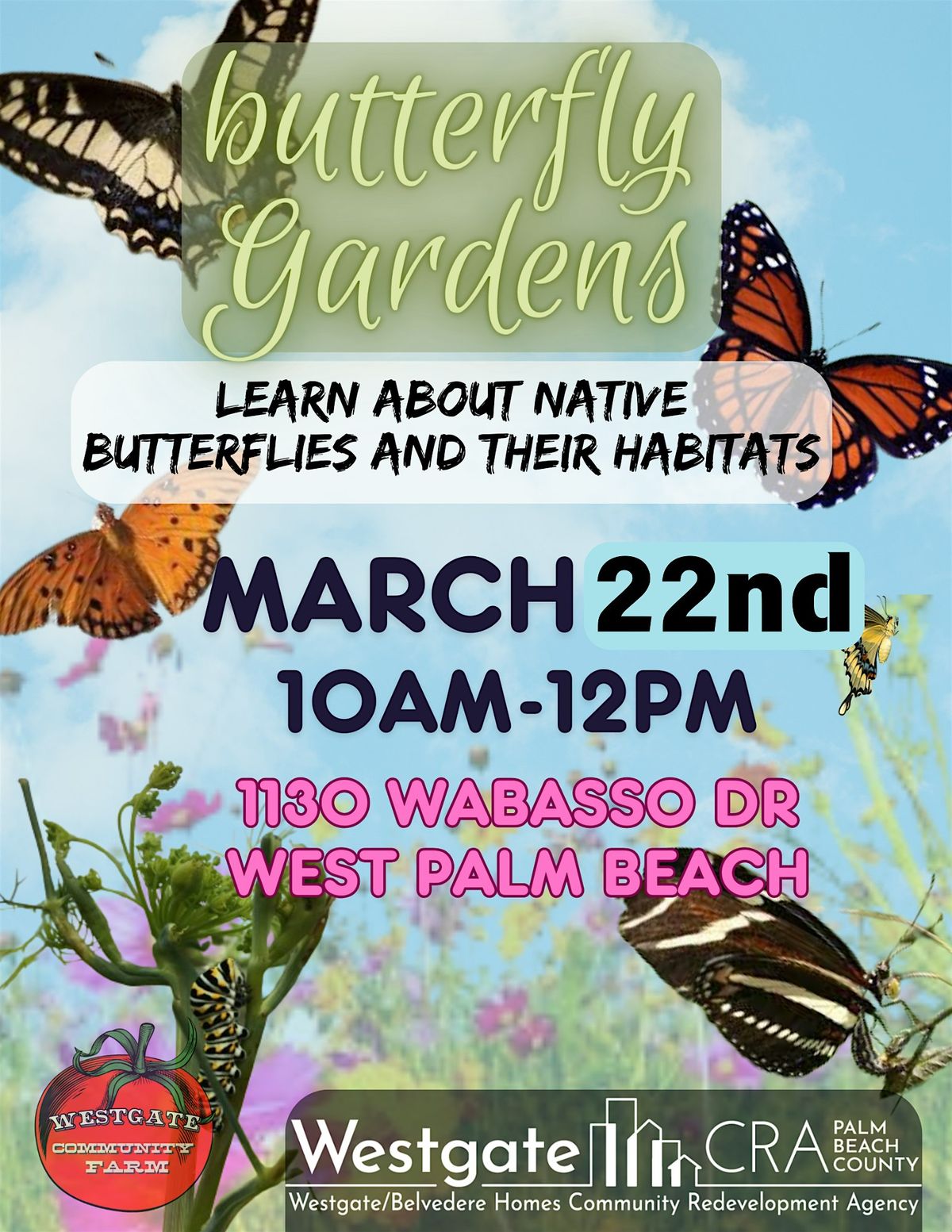 Butterfly Gardens: Learn about native butterflies and their habitats