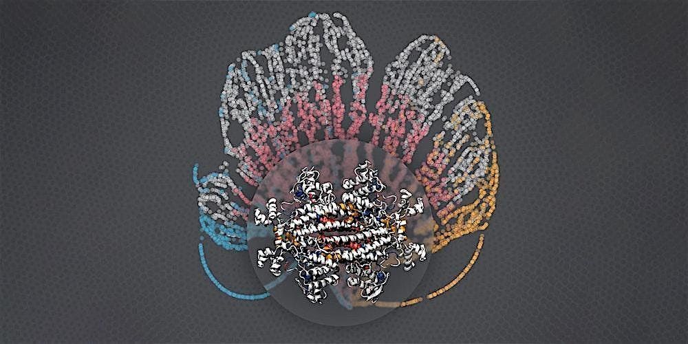UCL Computational Cancer Collaboratorium Hackathon 2025