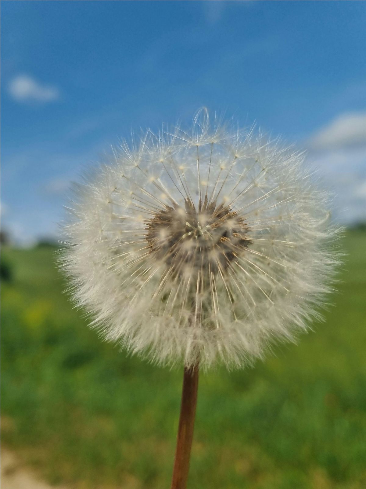 Systemic Family & Business Constellations Workshop, Newtown