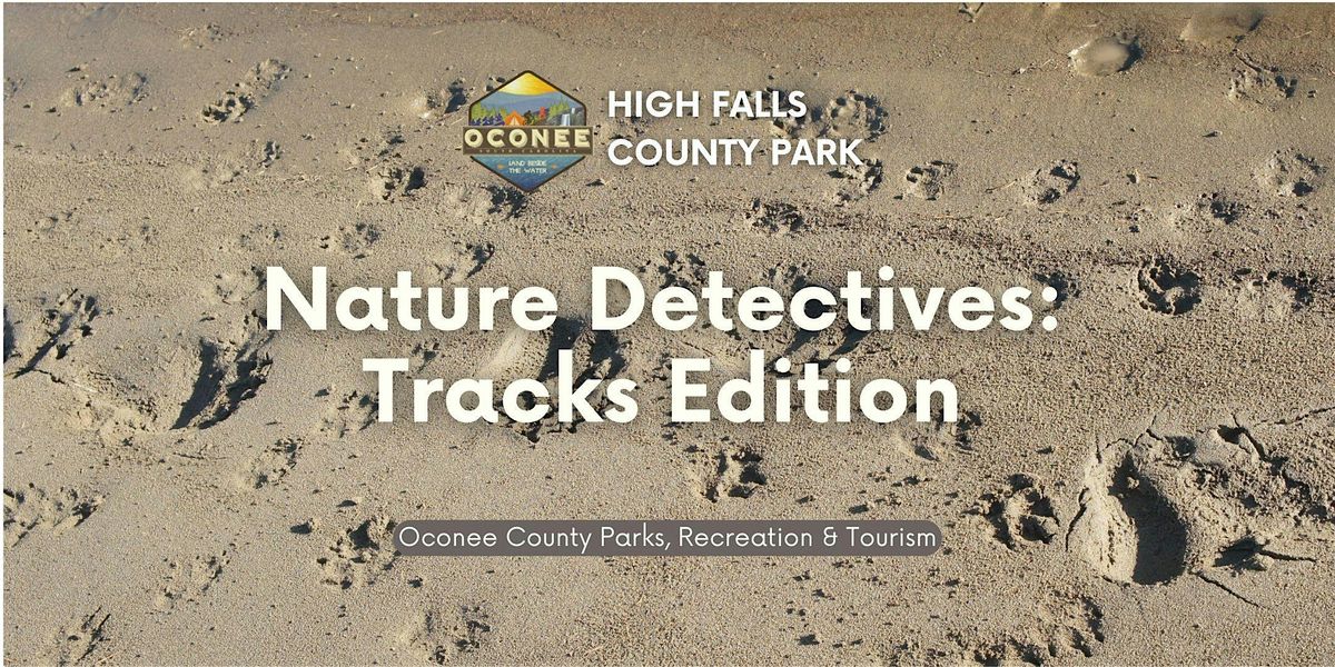 Nature Detectives: Tracks Edition