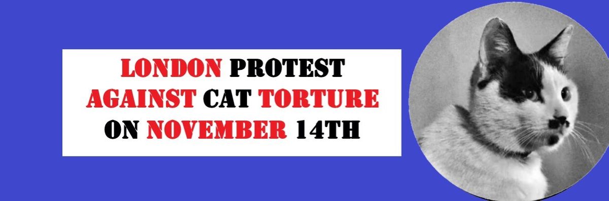 London Protest Against Cat Torture 