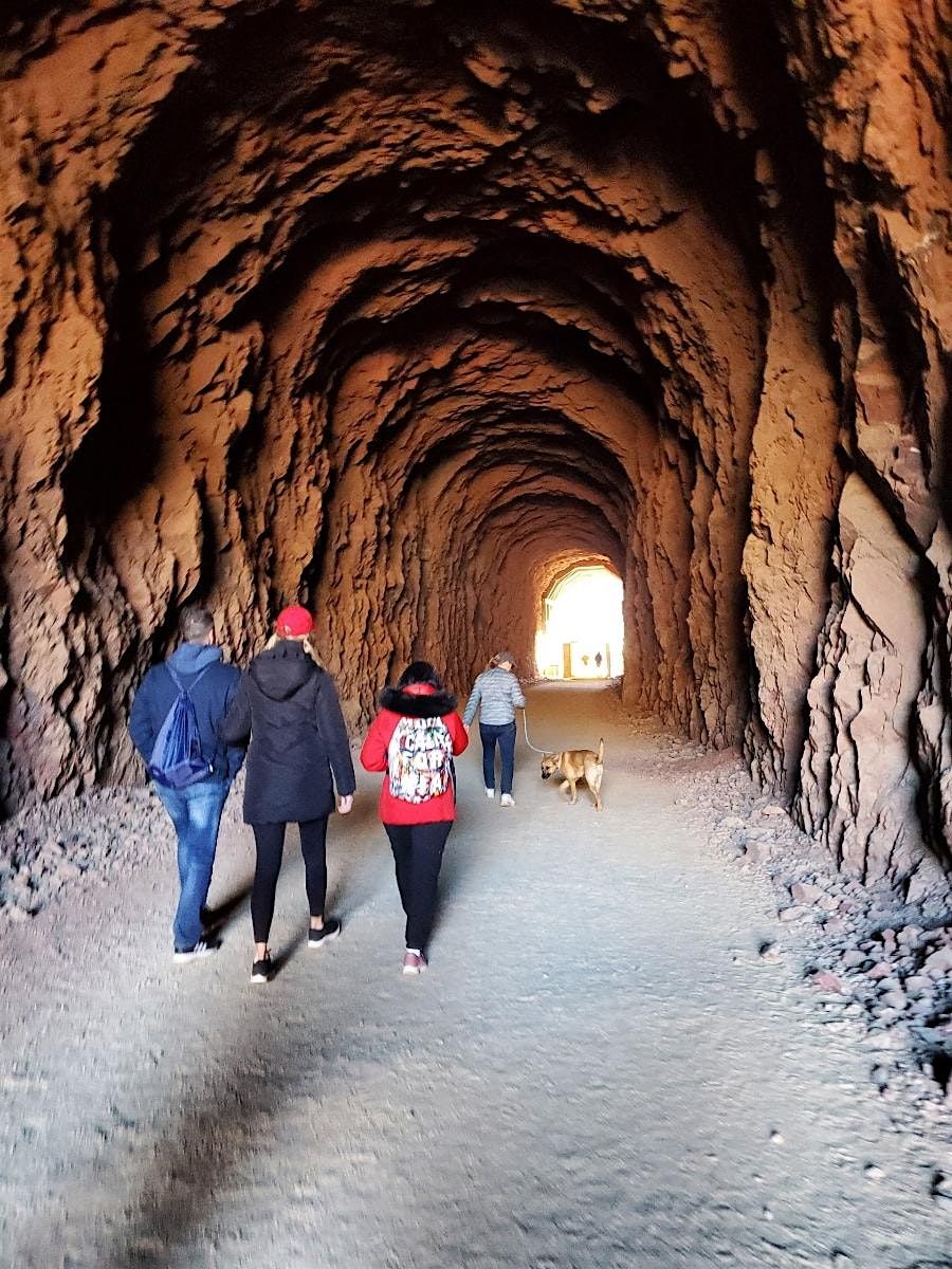 The Avery Burton Foundation presents 5th Annual Hike n' Heal event