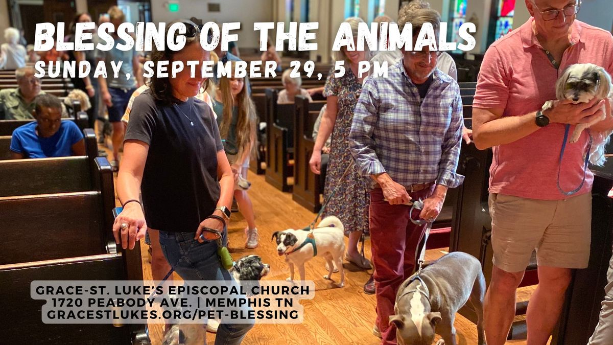 Blessing of the Animals