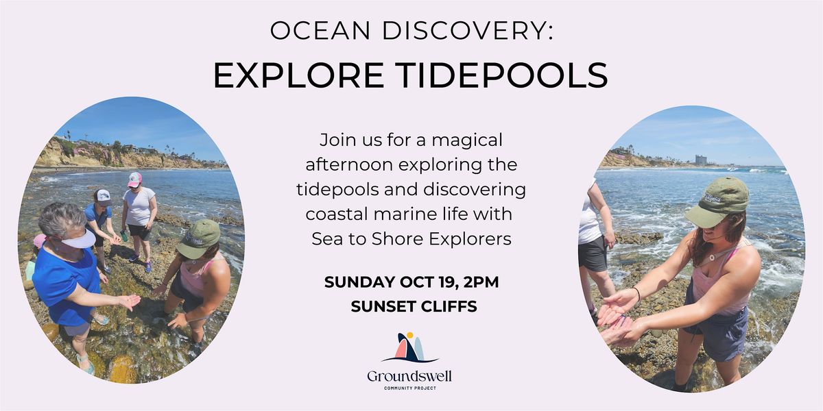 Ocean Discovery: Explore the Tidepools
