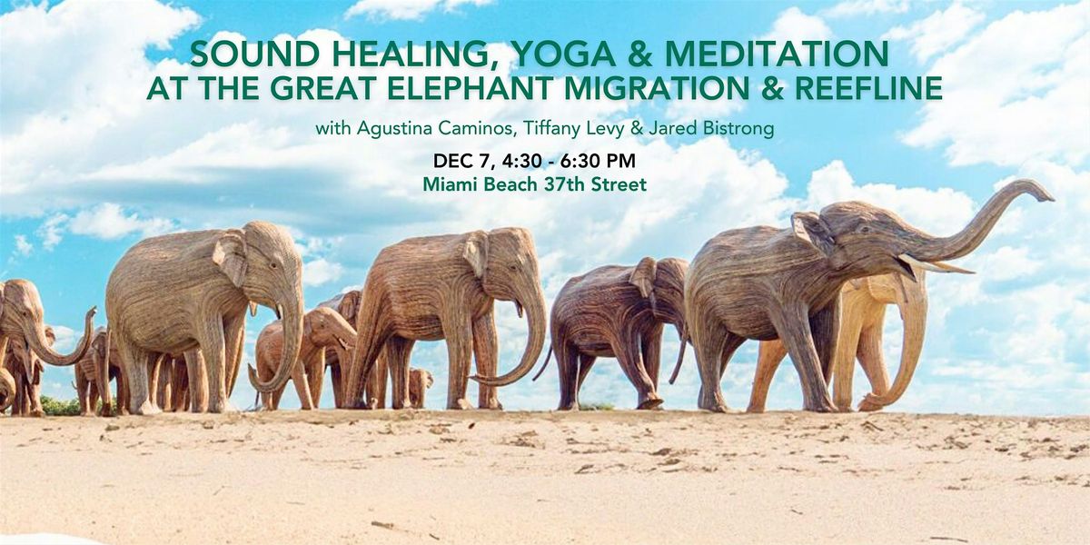 Sound Healing, Yoga & Meditation at The Great Elephant Migration & Reefline