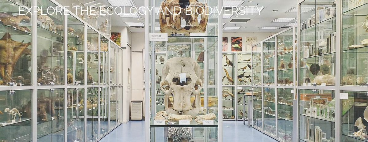 Discover HK's Biodiversity Museum