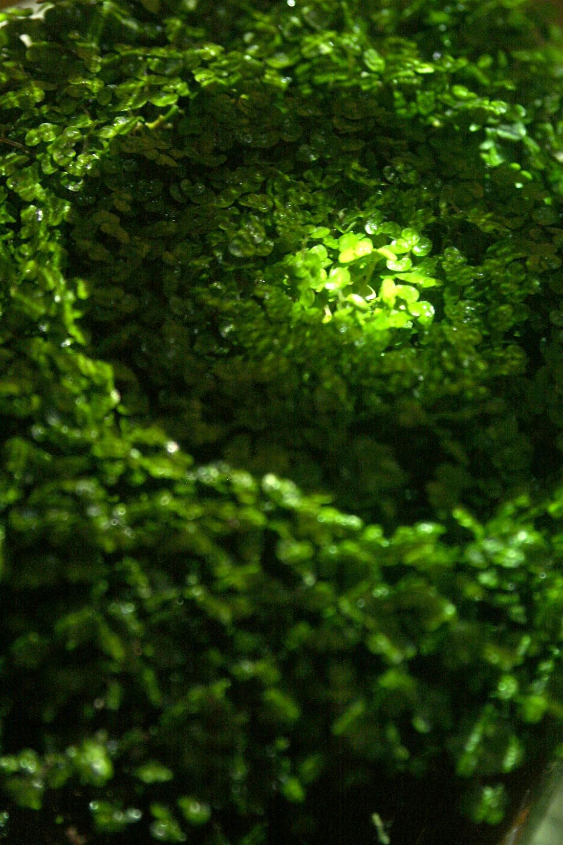 Meditative Symbiosis Workshop [PART OF TEMPORARILY OUT OF PLACE]