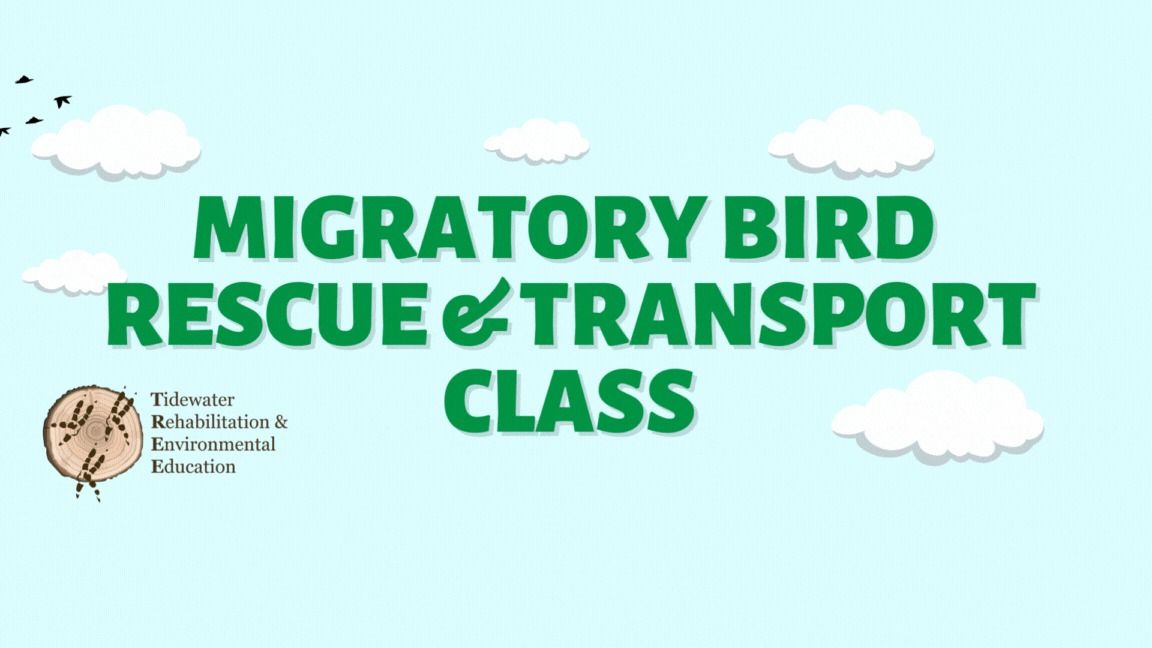 Migratory Bird Rescue & Transport Class