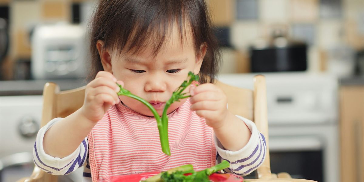 Introduction to Solid Foods Workshop, 13:00 - 14:30, 21\/10\/2025