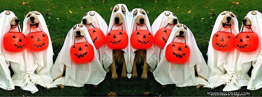 Howl-oween Pawty