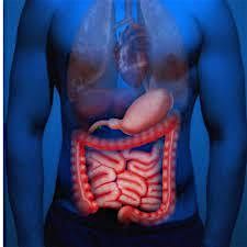 Colorectal Cancer Health and Wellbeing Event 2026