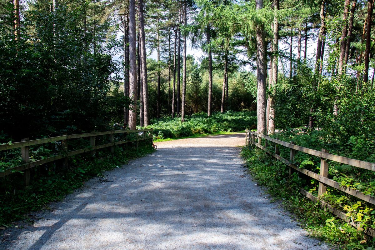 The Ultra Loop | Delamere Forest | 8 Hour Running Event