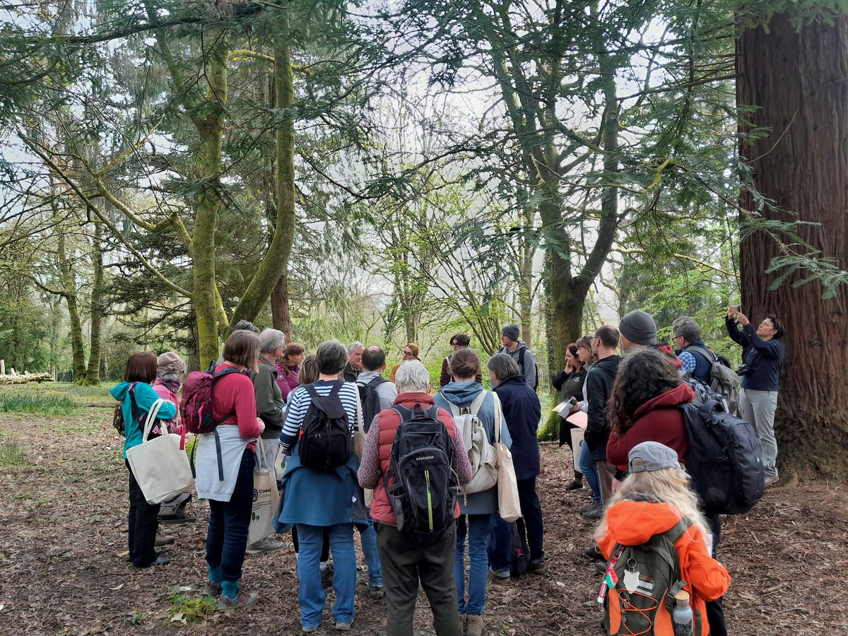 Forest Farm Woodland Trust Ancient Tree Inventory Mapping