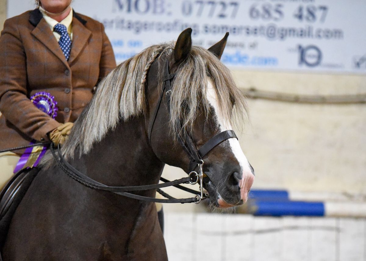 Ridden Showing Show Indoors Saturday