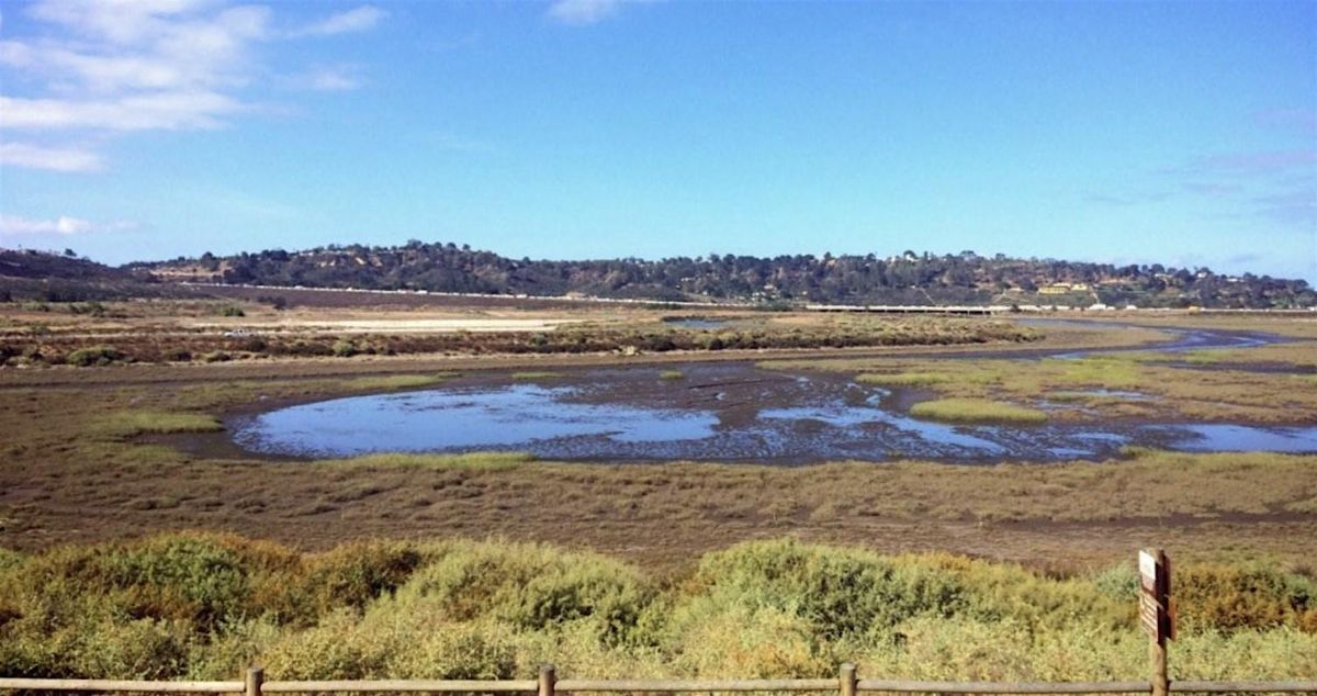 San Dieguito Lagoon W-19 Restoration Project Tour