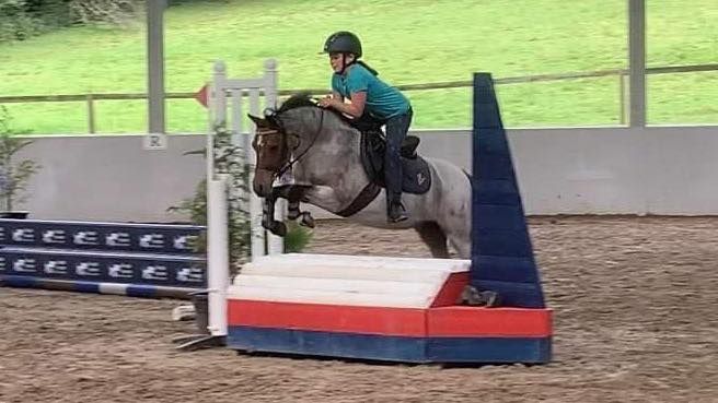 Arena Eventing Clinic December 31st, Januray 2nd - 4th