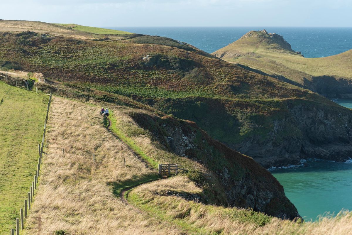 Trust10 at Pentire