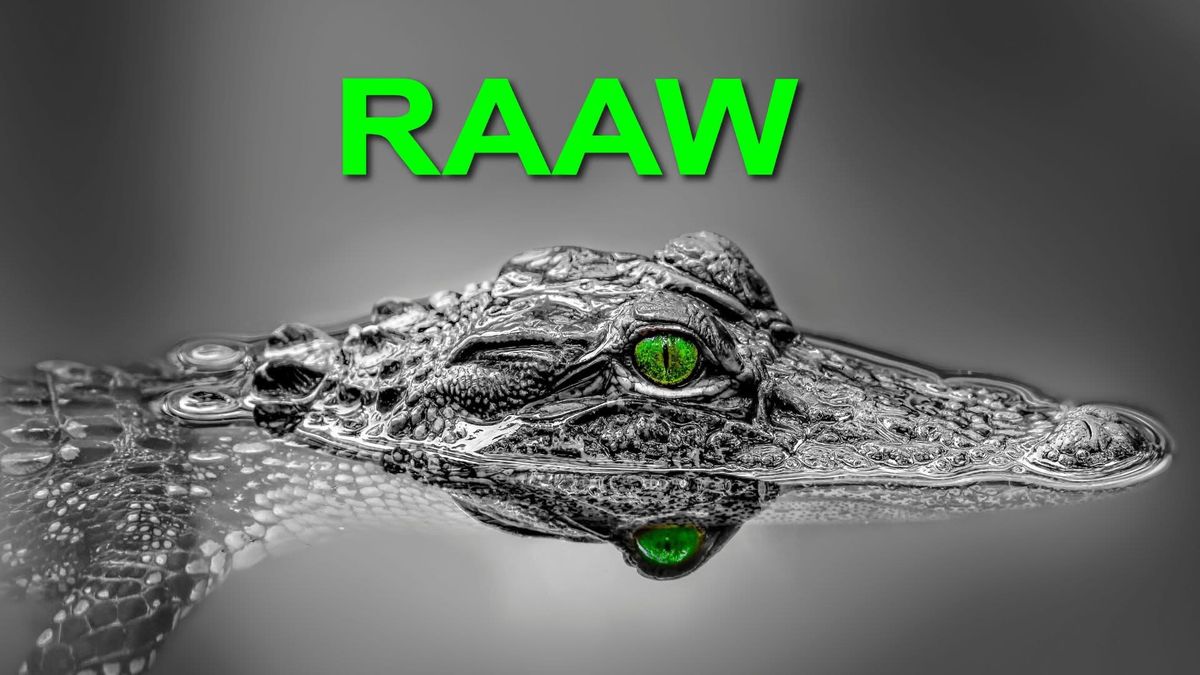 Reptile and Amphibian Weekend (RAAW)