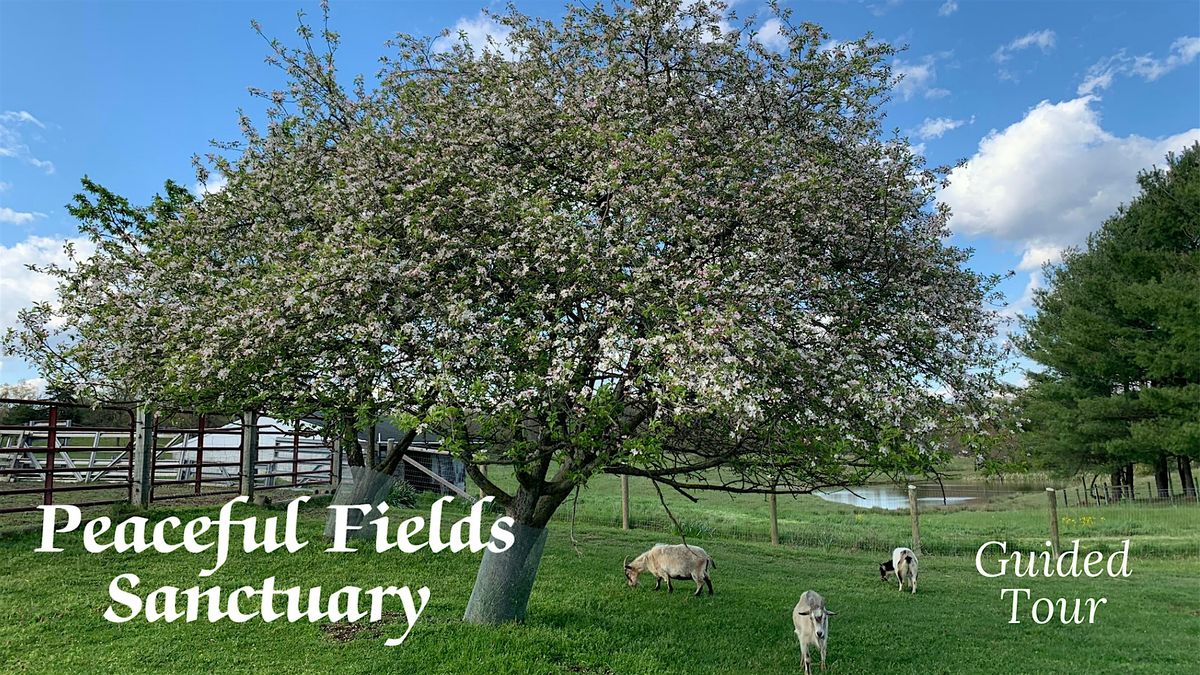 Nov Guided Tour of Peaceful Fields Sanctuary