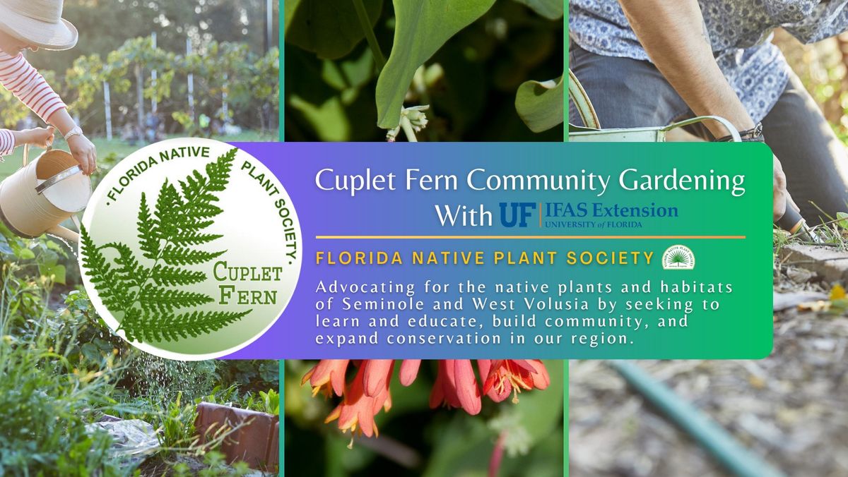 Cuplet Fern Community Gardening: Seminole IFAS Florida Friendly Landscape