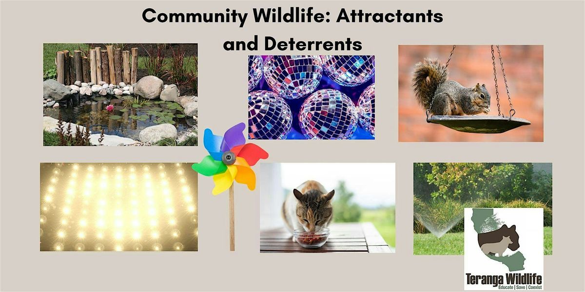 Community Wildlife- Attractants & Deterrents: Online Wildlife Workshop