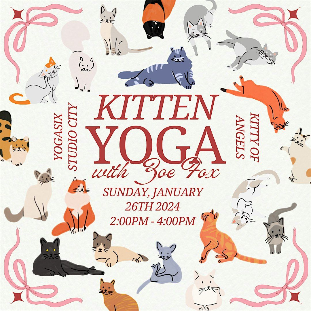 Kitten Yoga \/\/ YogaSix Studio City x Kitty of Angels