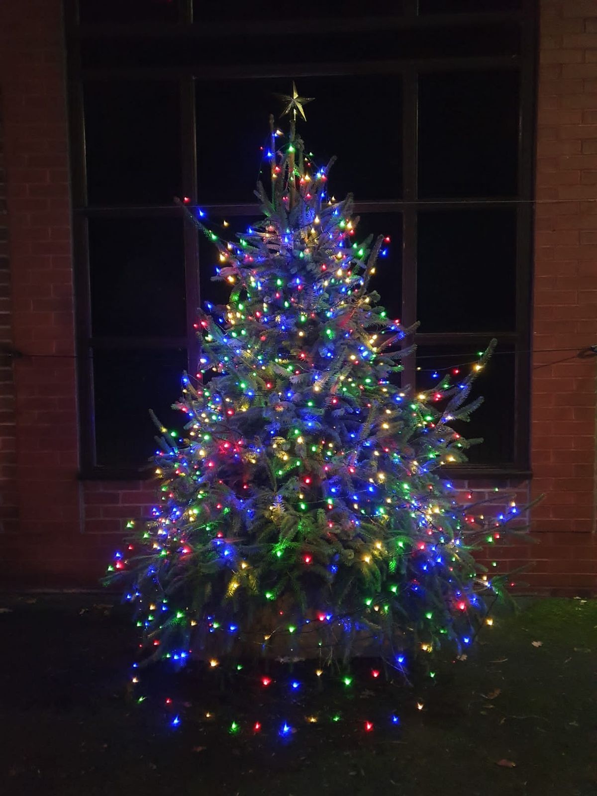 Community Christmas Tree Switch on and Carol Singing 