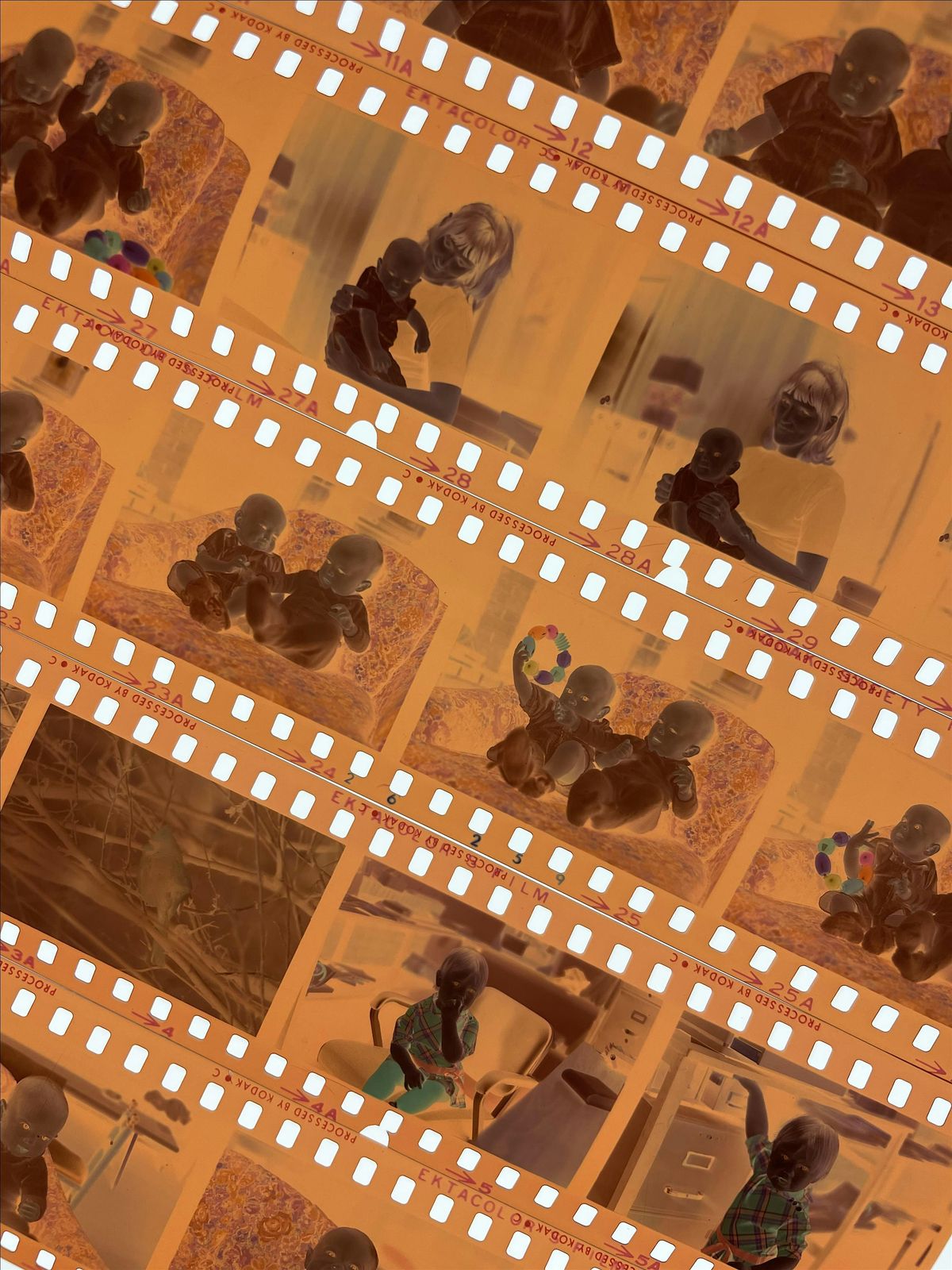 Developing Color Film Workshop