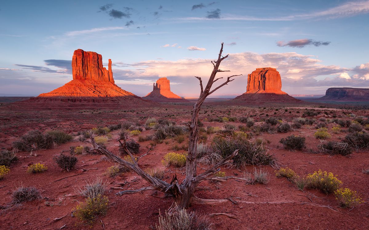 August Zoom Talk \u2013 Wildlife Wandering in the West by Richard Coomber