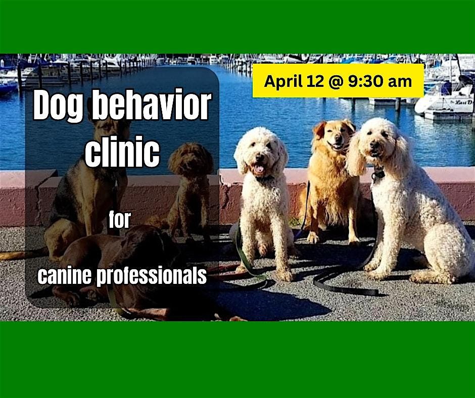 CARE First: a dog behavior clinic for canine professionals