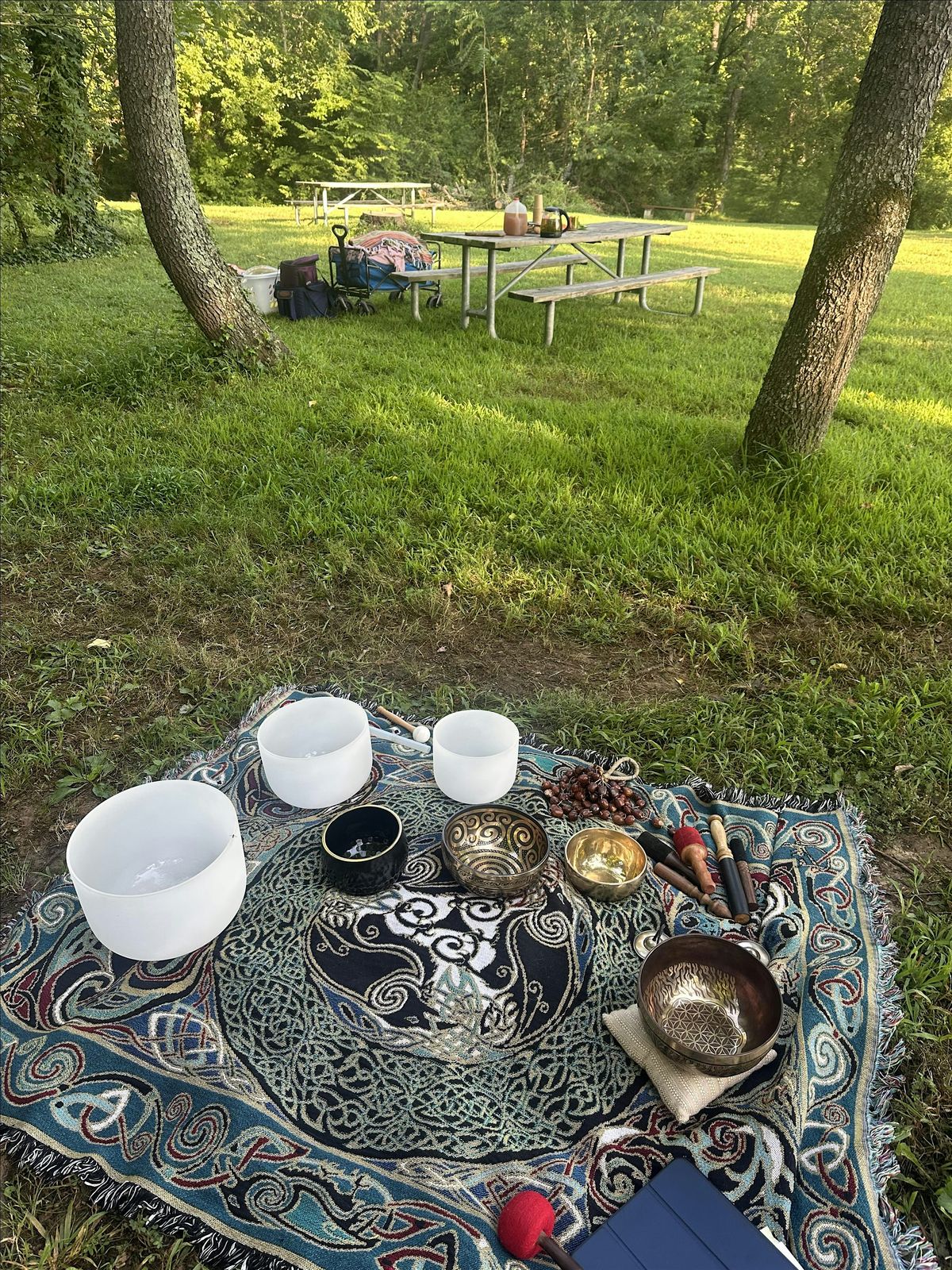 Sound Healing at Pratt Park