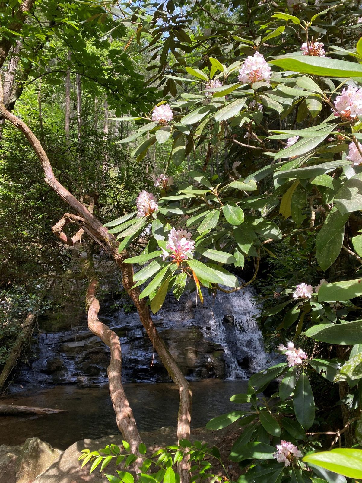 Chilly Chunanee Falls Hike