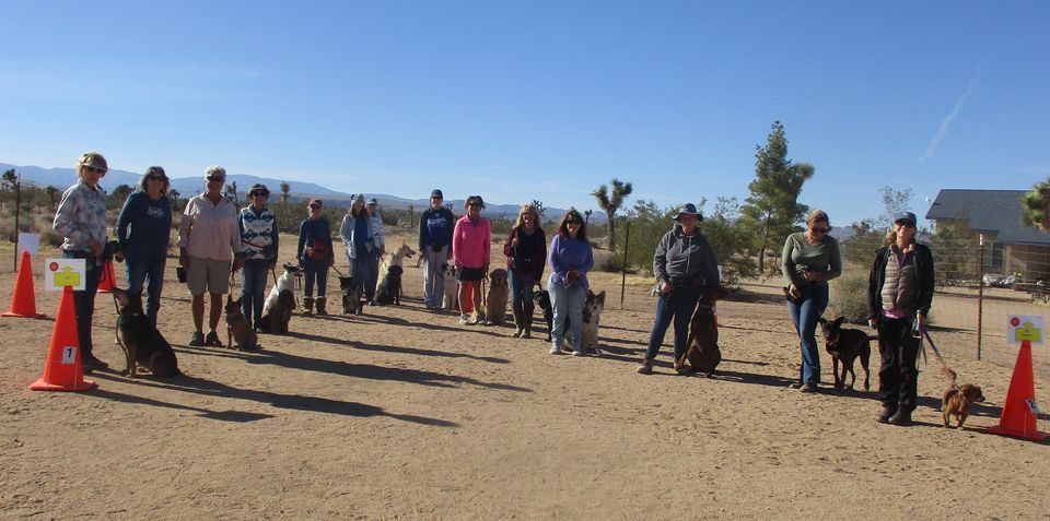 Group Novice Rally Obedience Class