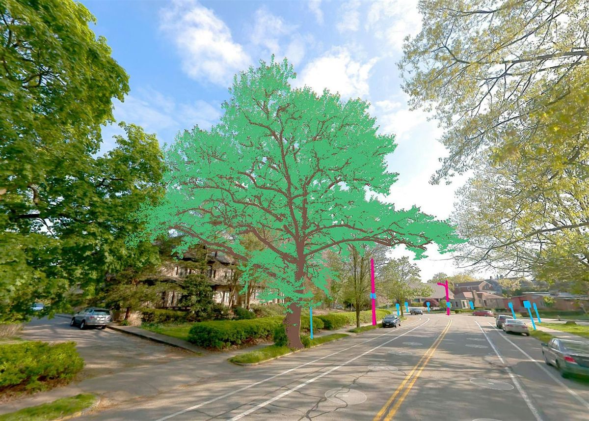 Smart Tree Management Learning & Libations  | Atlantic City, NJ