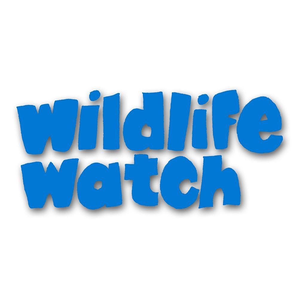 Wildlife Watch - Teeny Tiny Den Building (2 - 4yrs)
