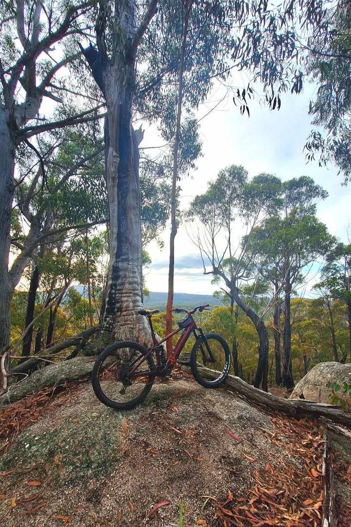 Bay of Fires Shuttle