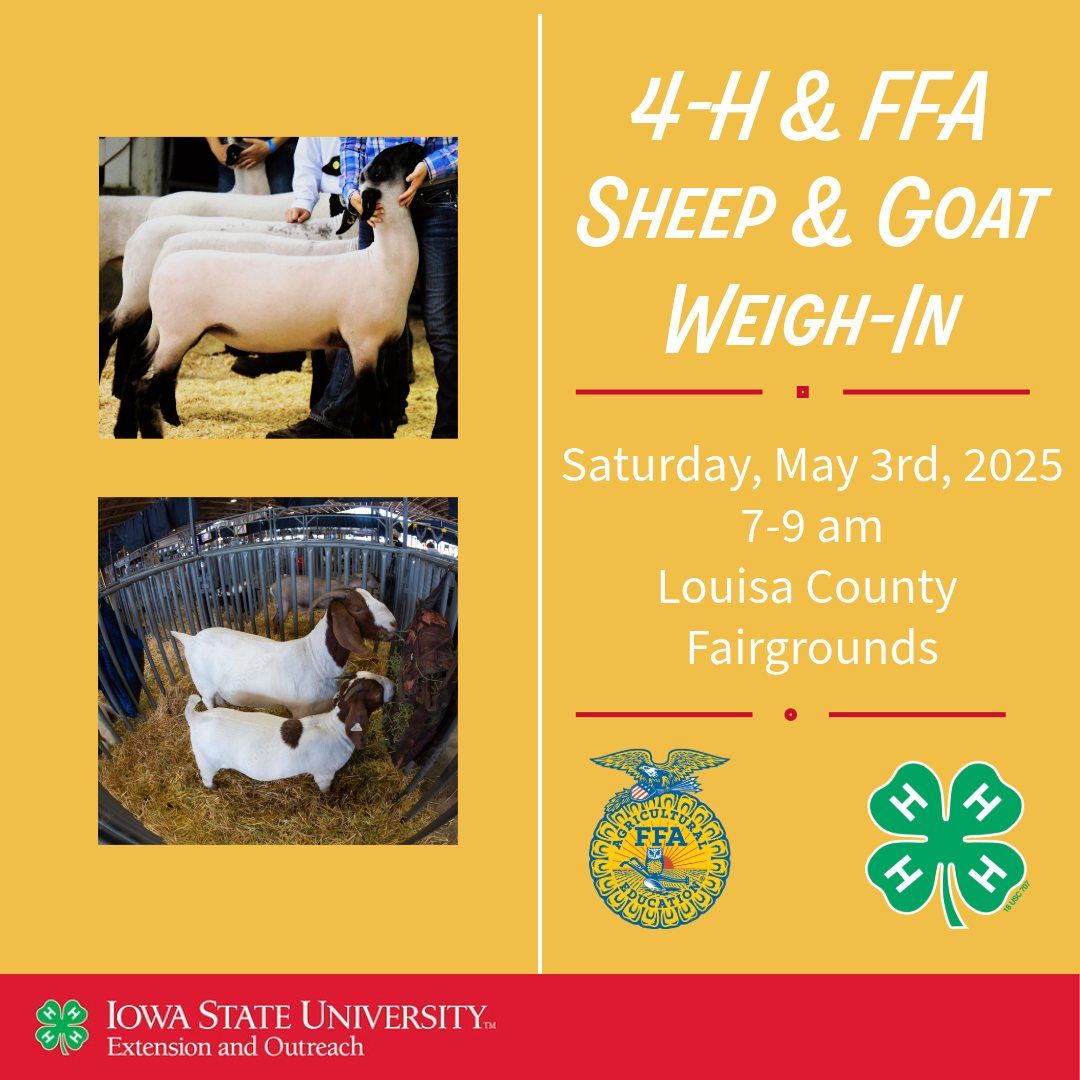 2025 Sheep & Goat Spring Weigh-Ins