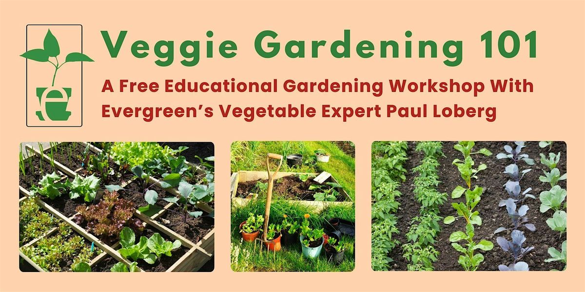 Vegetable Gardening 101