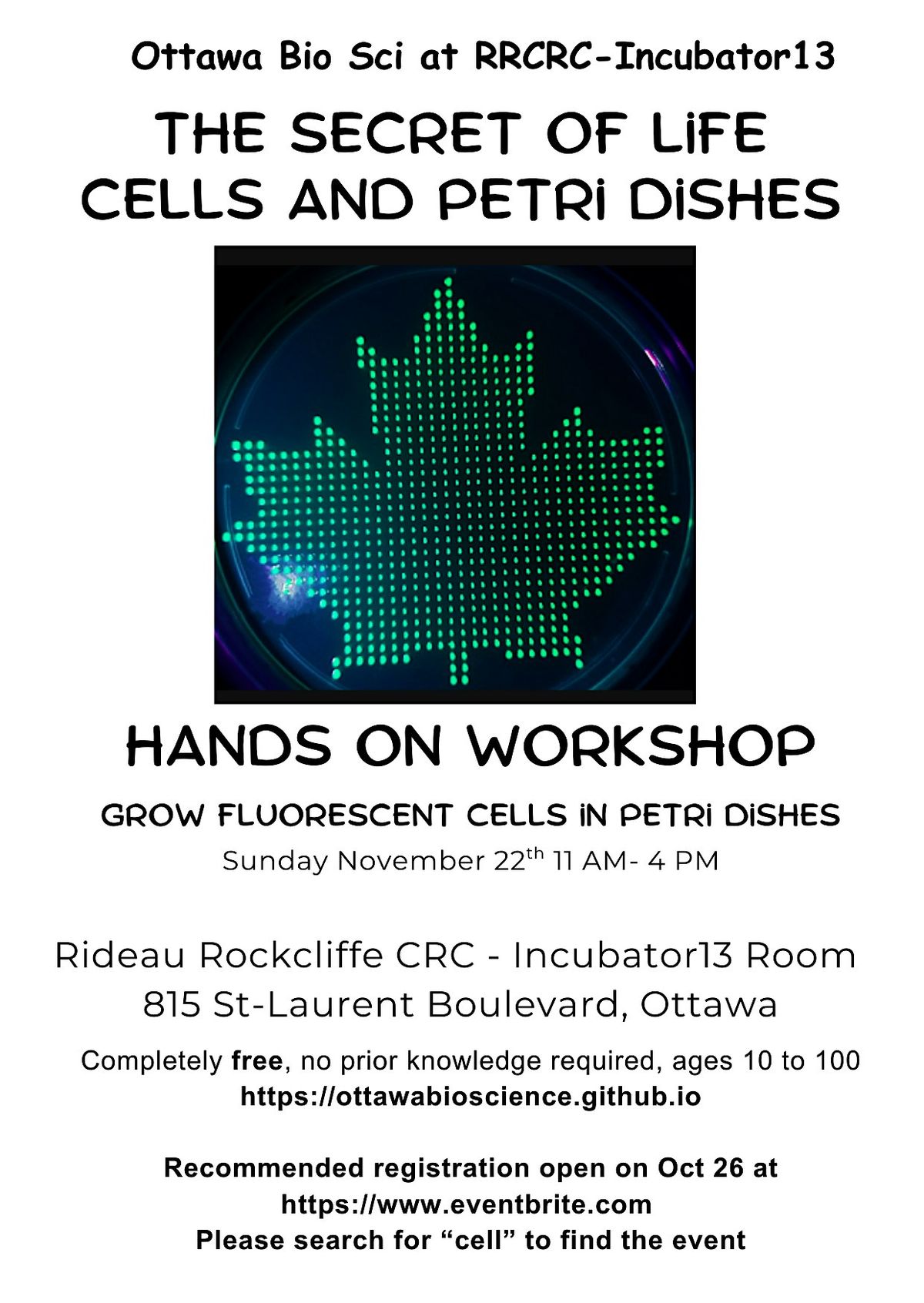 The Secret of life - The Cell workshops