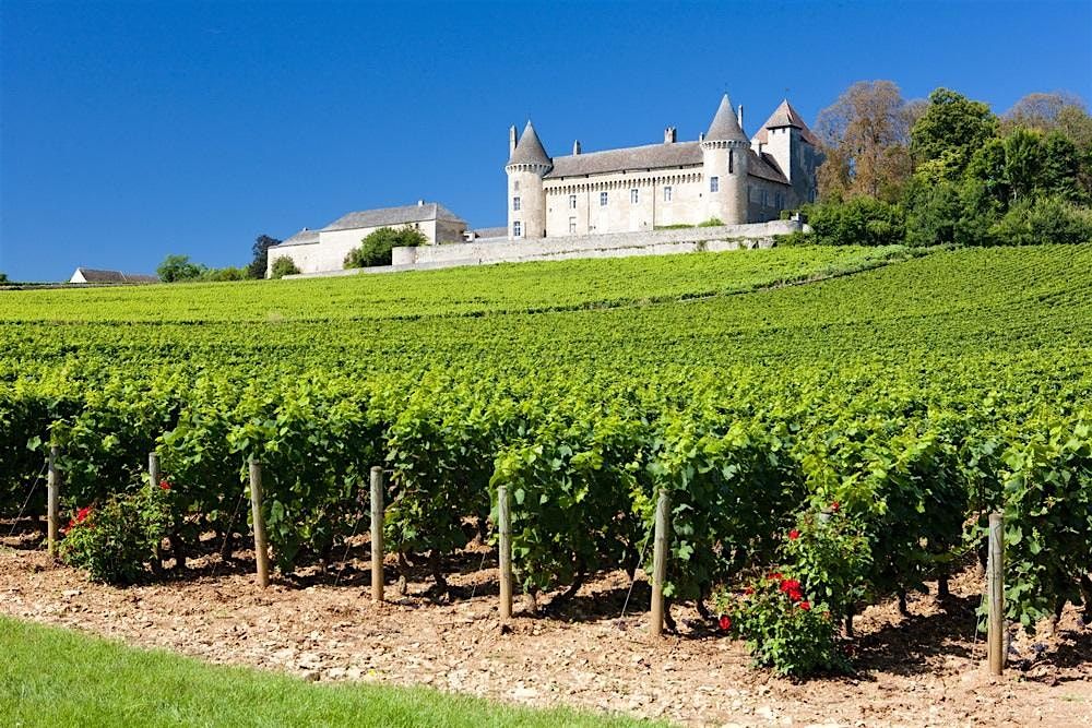 Mastersclass of Cabernet: Franc vs. Sauvignon