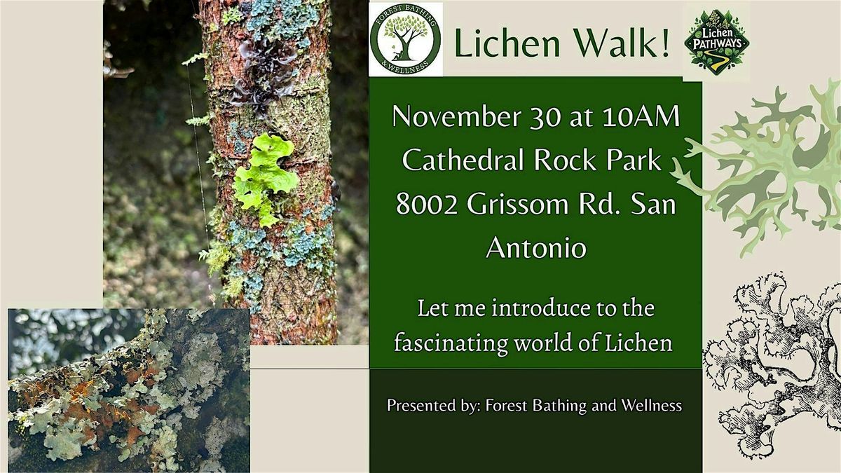 Lichen Walk
