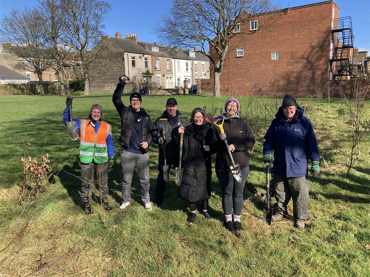 Community Woodland Task Day at Rising Sun Country Park