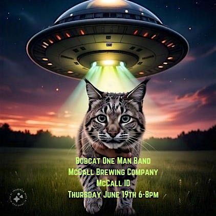 Bobcat Was Abducted By Aliens At McCall Brewery Idaho