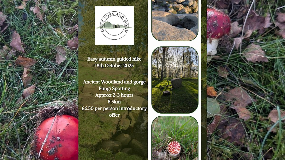 Easy Autumn Guided Hike