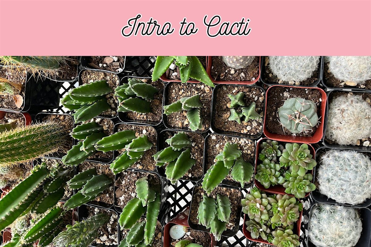 Intro to Cacti