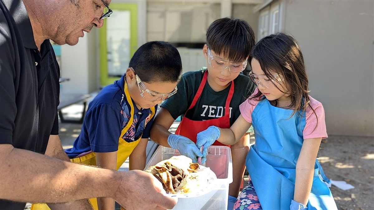 Leadways School Experience in Cupertino (Open House) TK-8