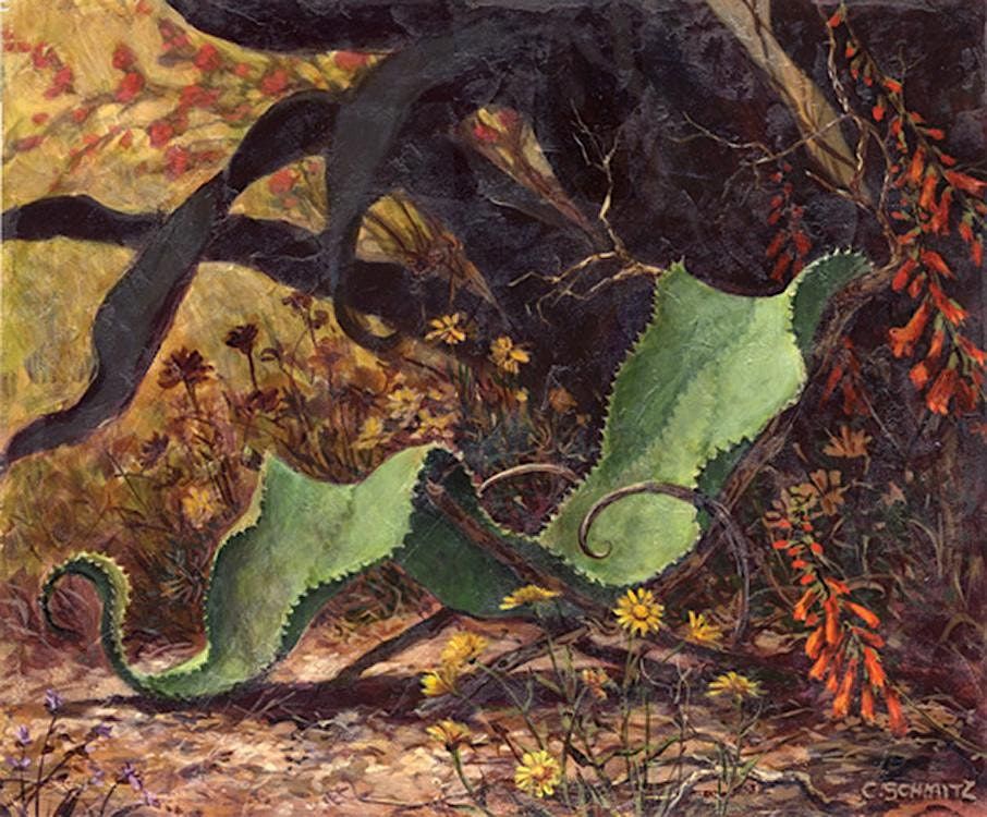 Artist Talk with Carolyn Schmitz