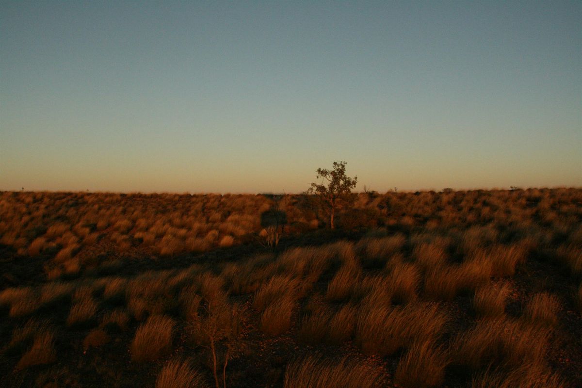 RANZCP Northern Territory Branch: Health and Justice Advocacy Symposium